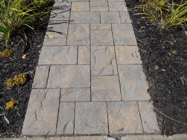 Stamped Concrete Staining in Thousand Oaks